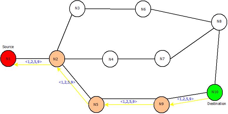 Dynamic Source Routing : Updated Network